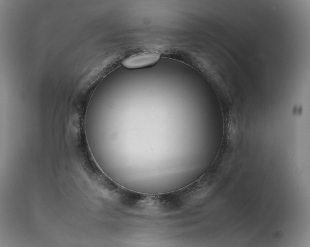 X0000112040211200908031525