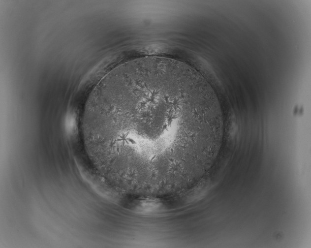 X0000112040214200908031524
