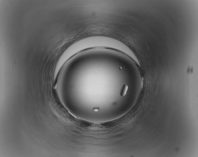 X0000112040215200908031524