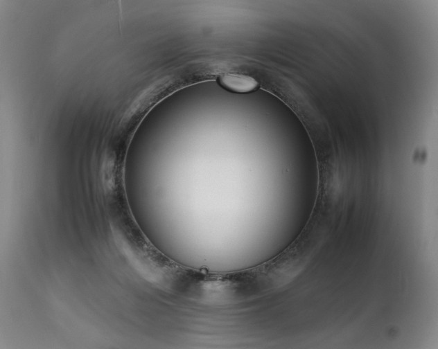 X0000112040216200908031524
