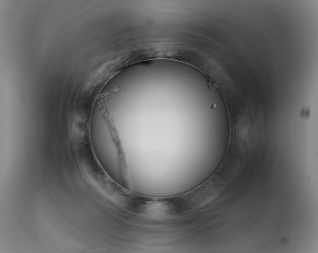 X0000112040218200908031524