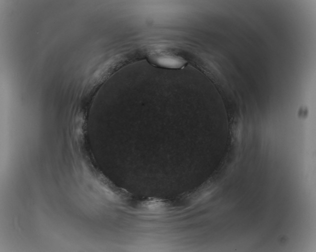X0000112040219200908031524