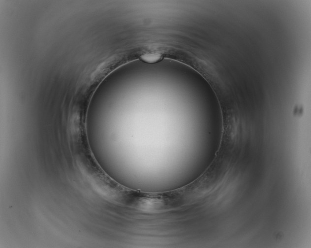 X0000112040220200908031524