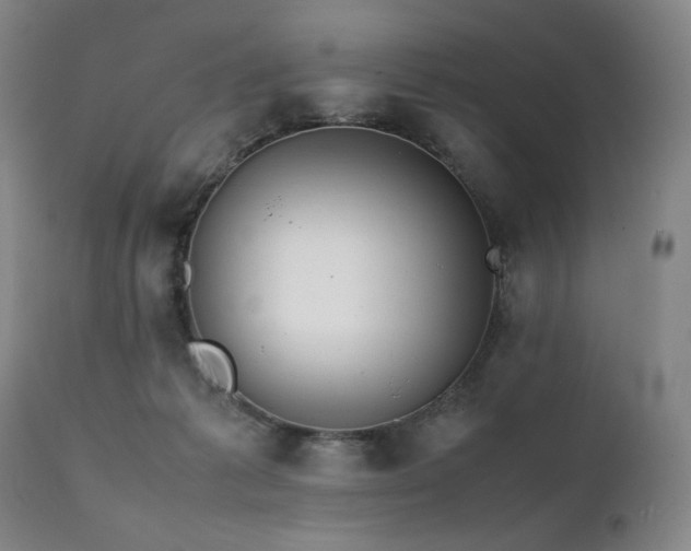 X0000112040221200908031524