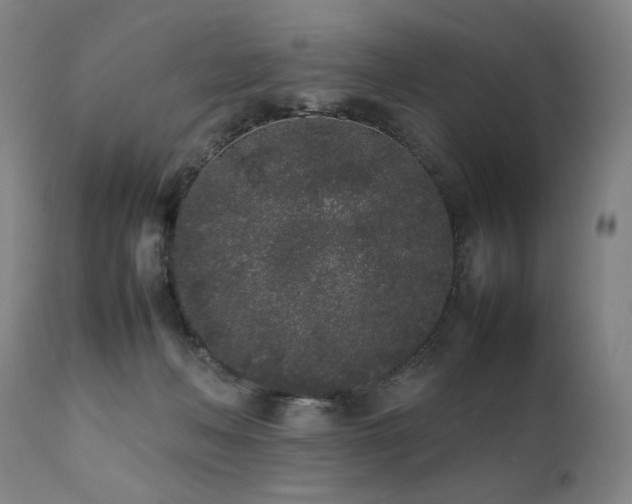 X0000112040222200908031524