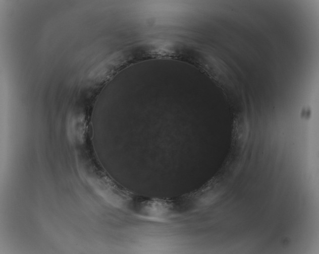 X0000112040223200908031524