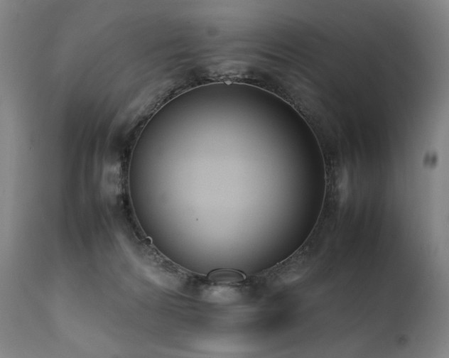 X0000112040224200908031524