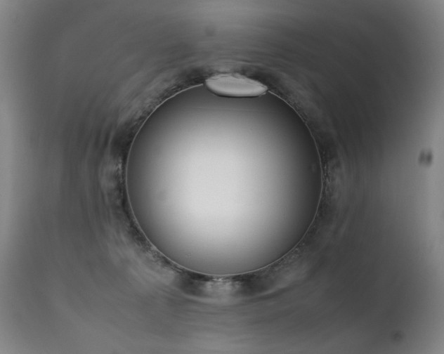 X0000112040225200908031524