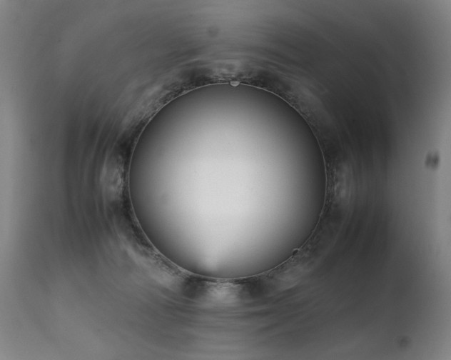 X0000112040226200908031524