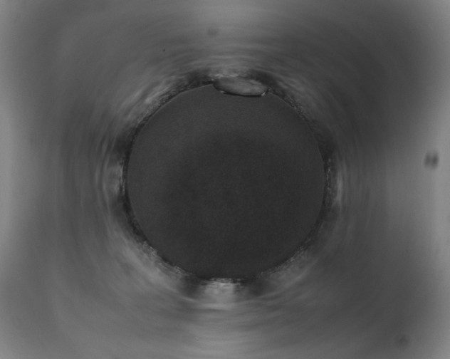 X0000112040227200908031524