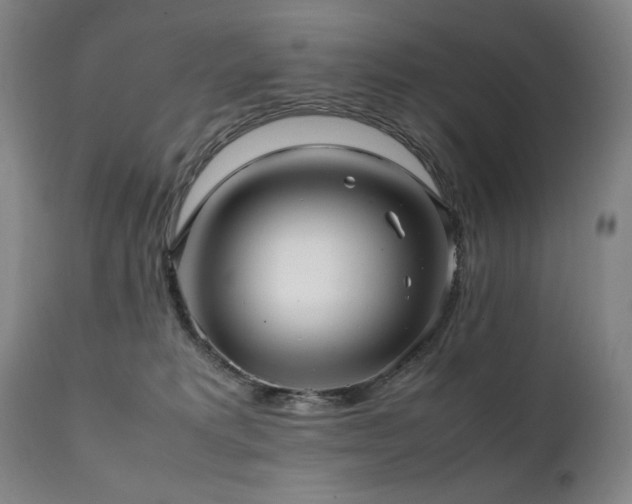 X0000112040229200908031524