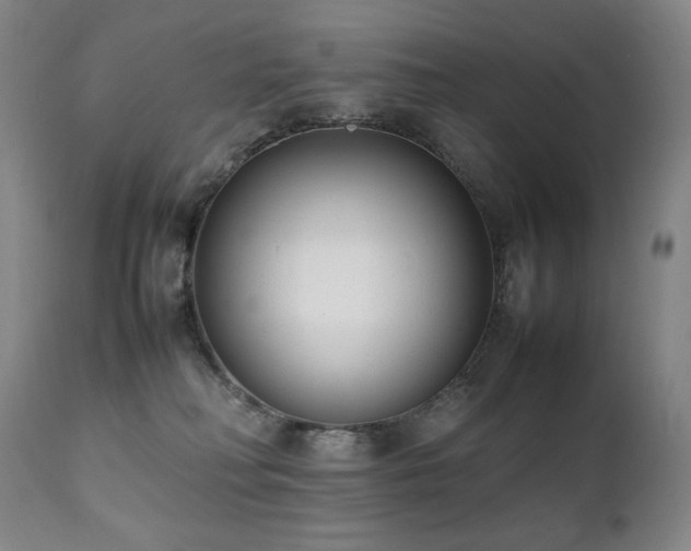 X0000112040230200908031524