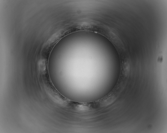 X0000112040232200908031524