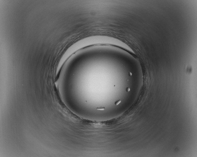 X0000112040233200908031524