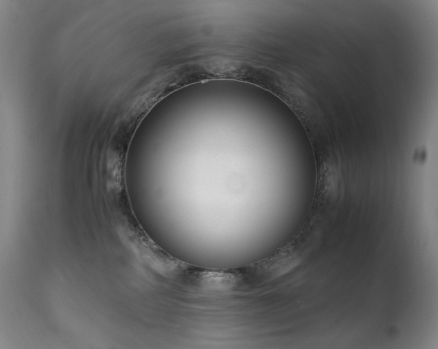 X0000112040234200908031524