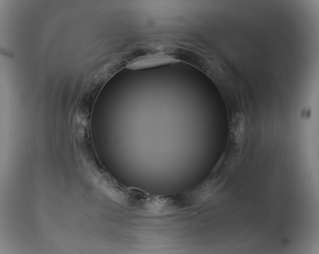 X0000112040235200908031524