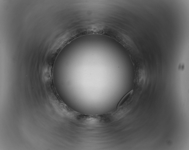 X0000112040236200908031524