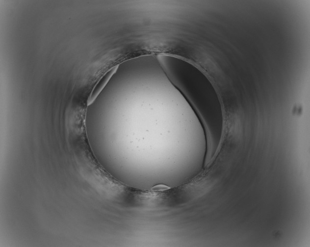 X0000112040237200908031524