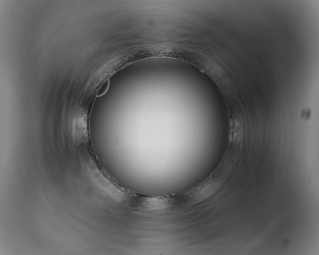 X0000112040238200908031524