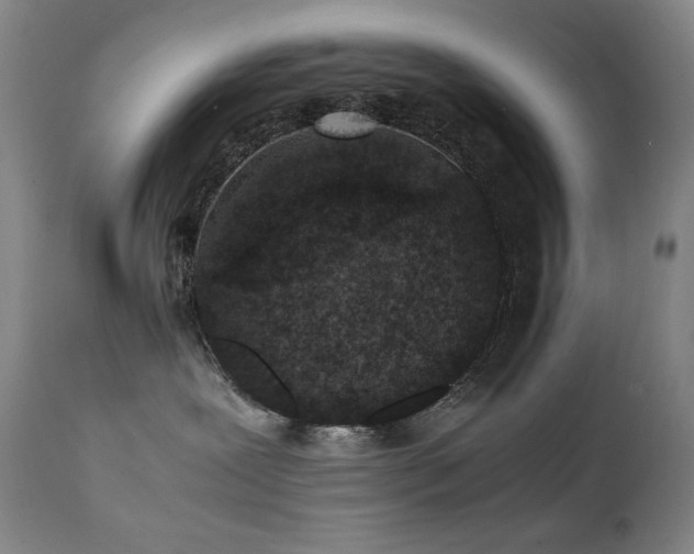 X0000112040239200908031524