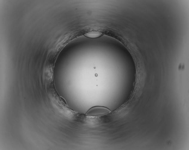 X0000112040240200908031524