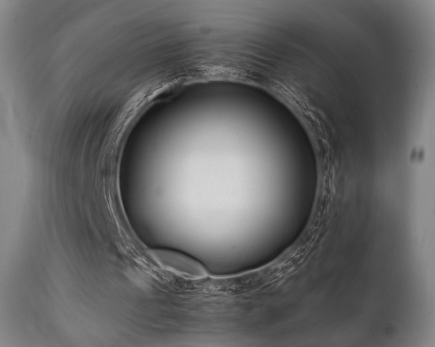 X0000112040241200908031523