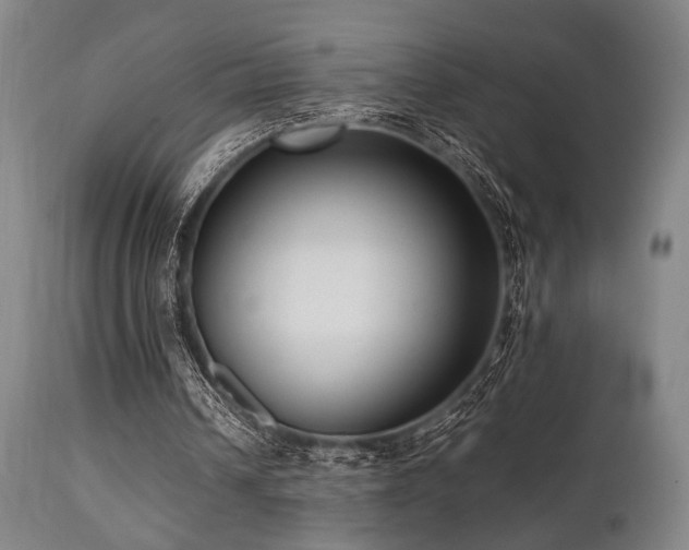 X0000112040242200908031523