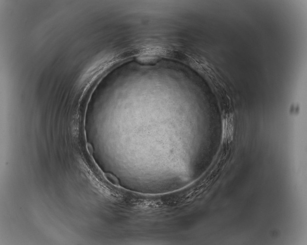 X0000112040243200908031523