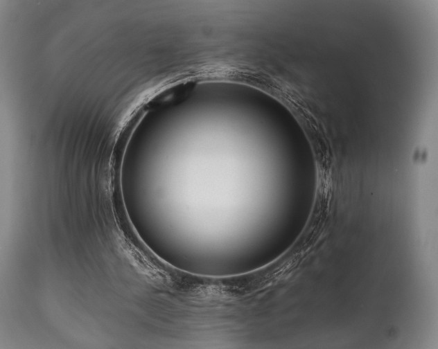 X0000112040244200908031523