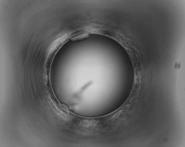 X0000112040245200908031523