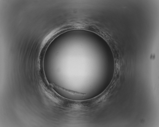 X0000112040246200908031523