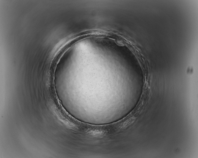 X0000112040247200908031523