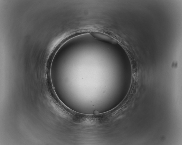 X0000112040248200908031523