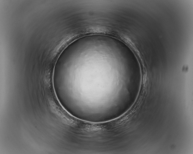 X0000112040249200908031523