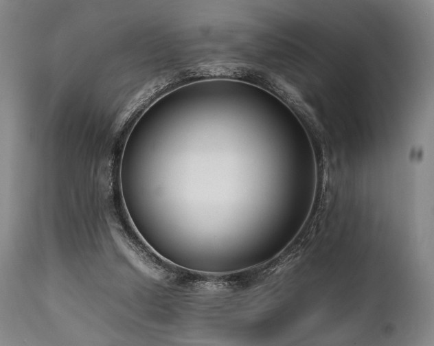 X0000112040250200908031523
