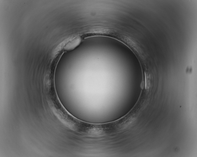 X0000112040252200908031523
