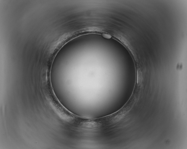 X0000112040253200908031523