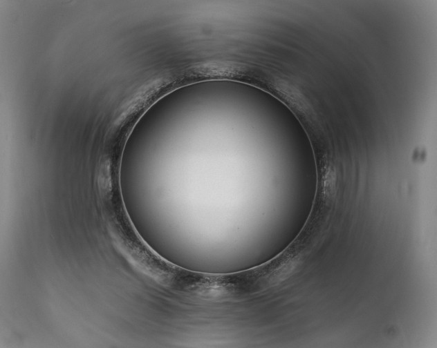 X0000112040254200908031523