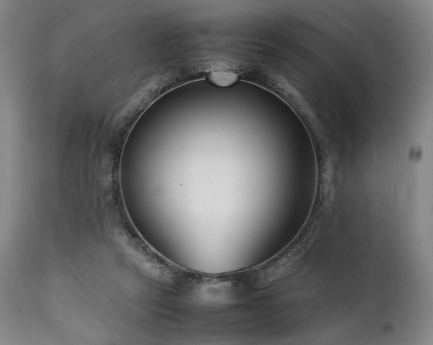 X0000112040257200908031523