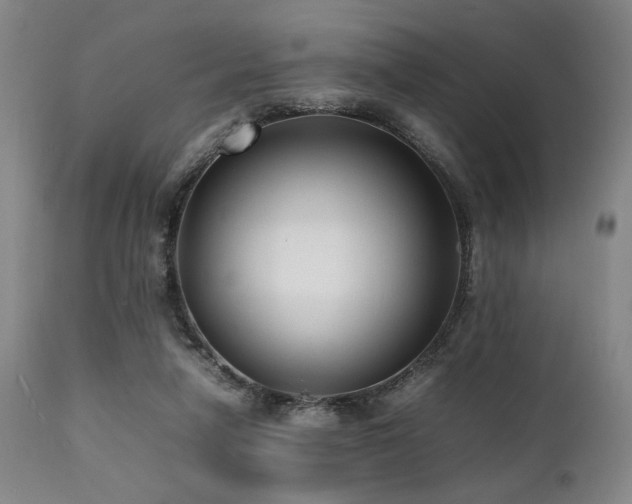 X0000112040258200908031524