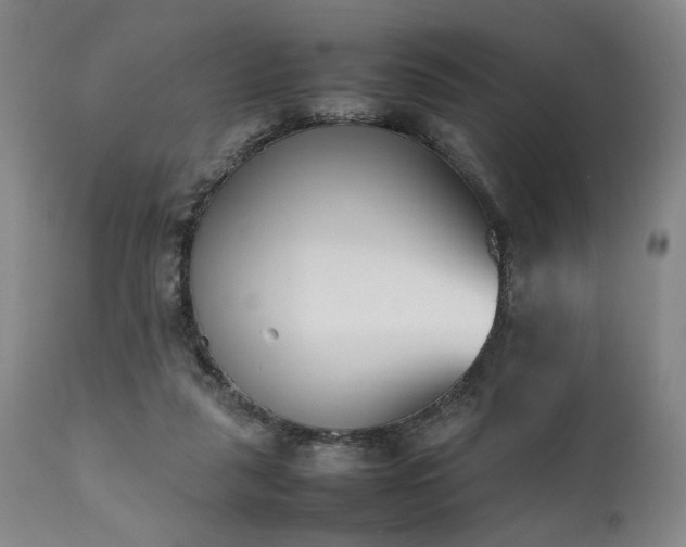 X0000112040259200908031524