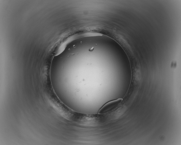 X0000112040260200908031524