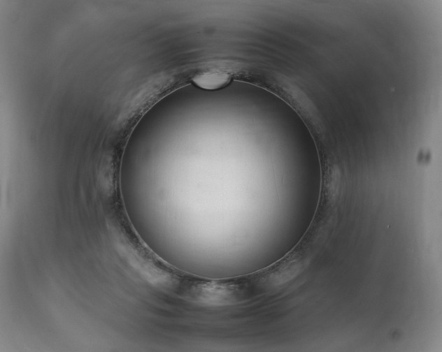X0000112040261200908031524