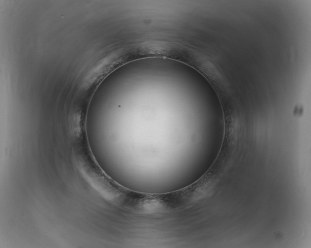 X0000112040262200908031524