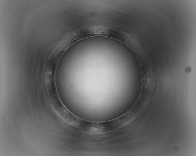 X0000112040263200908031524