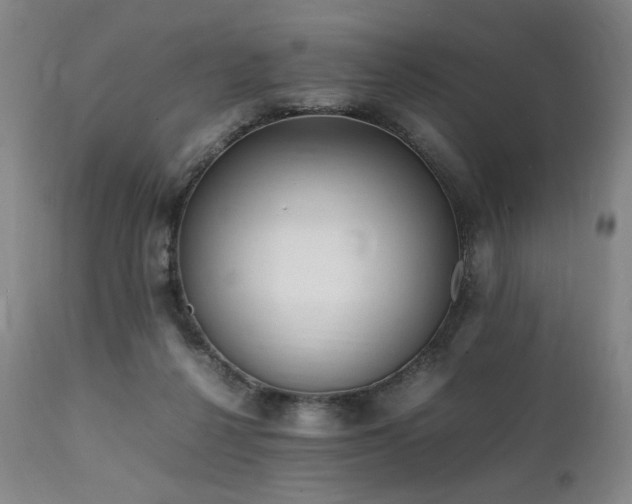 X0000112040264200908031524