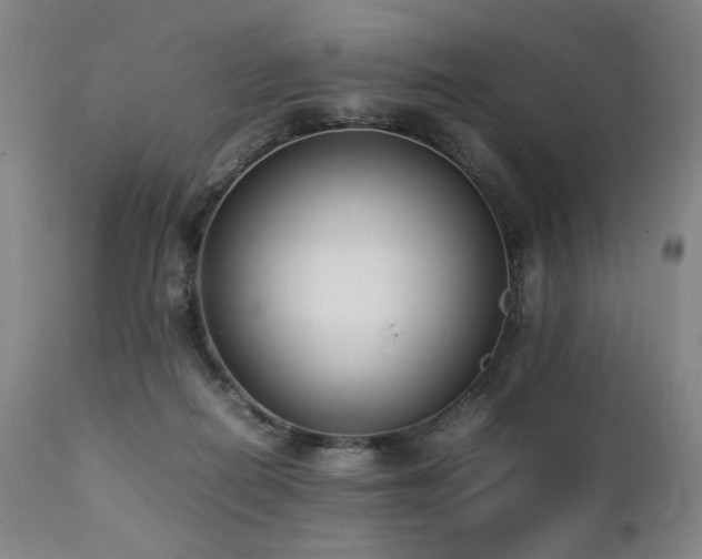 X0000112040266200908031524