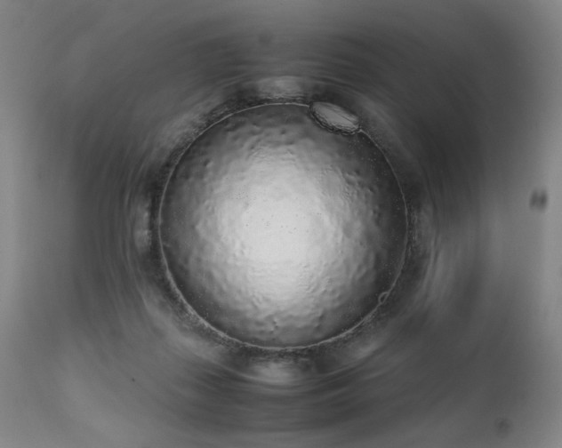 X0000112040267200908031524