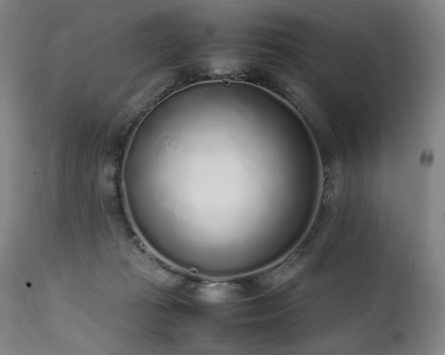 X0000112040269200908031524