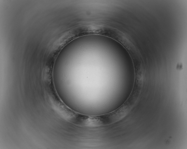 X0000112040270200908031524